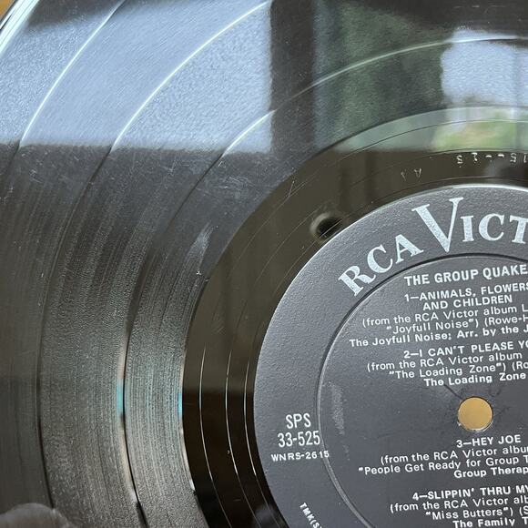 The Group Quake Compilation Vinyl LP 1968 RCA Victor SPS 33-525 Promo - Picture 11 of 16